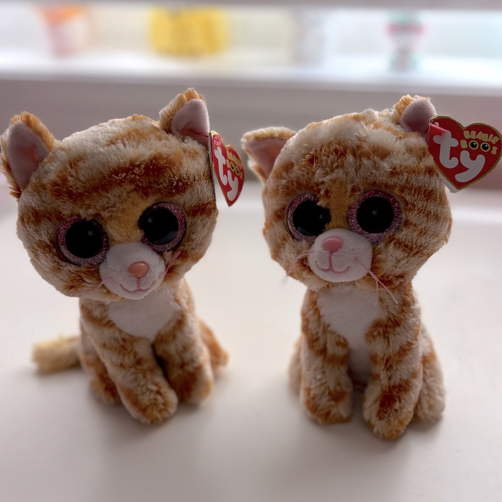 Ty Beanie Boo “Tabitha” Cat x2! Twins 👯 Tags still attached. Adorable ☺️